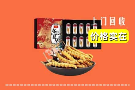 洪泽区回收冬虫夏草